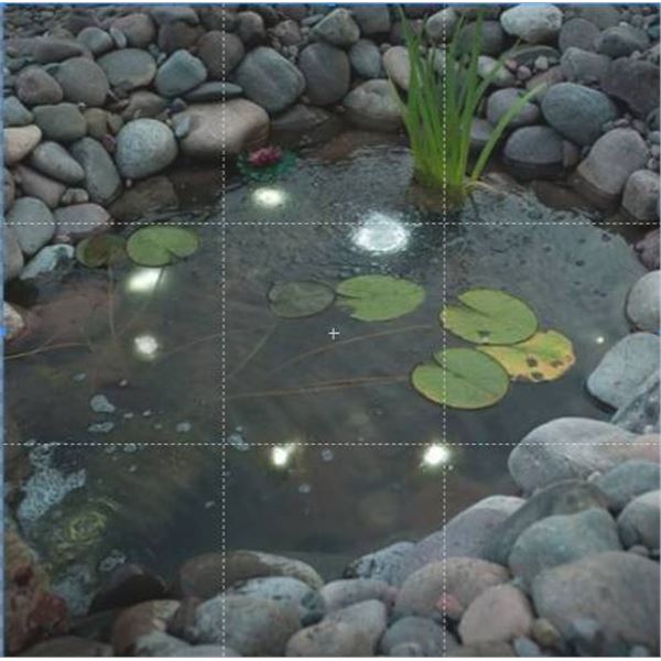 Smartpond Mini LED Lights Set Model 52292