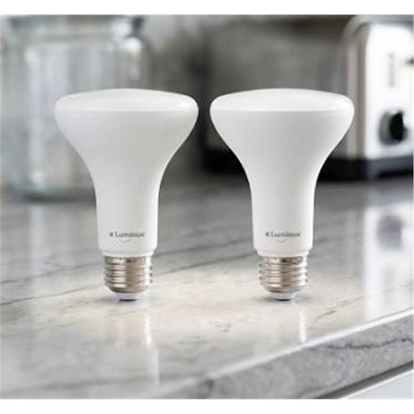 Luminus LED Basix BR30 Bulb 2-Pack