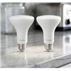 Image 1 : Luminus LED Basix BR30 Bulb 2-Pack