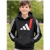 Image 1 : Adidas Boys Hoodie M/M (10/12)Â