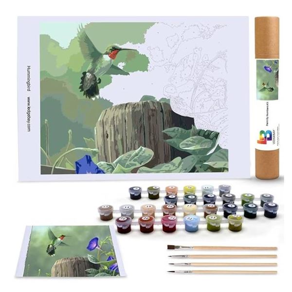 Ledgebay 16 x 20 Framed Paint by Numbers Kit - Hummingbird Design