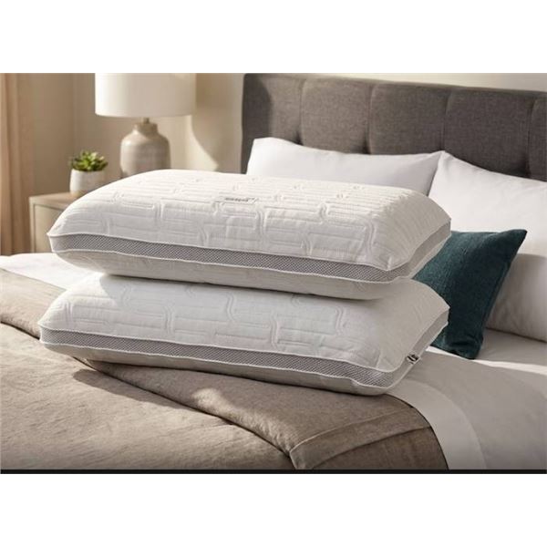 Lot of 2 - La-Z-Boy Memory Foam Pillows