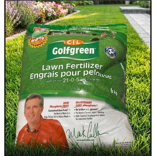 CIL Golfgreen Lawn Fertilizer 6 kg 21-0-5 Formula