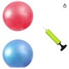 Image 1 : Yoga Balls Mini Fitness Exercise Ball Kit with Hand Pump