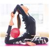 Image 2 : Yoga Balls Mini Fitness Exercise Ball Kit with Hand Pump