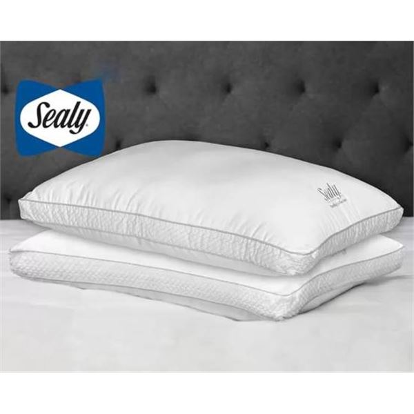 Sealy Sterling Collection Cloud Support Pillows (Set of 2), White