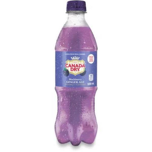 Canada Dry Blackberry Ginger Ale Bottles Case 24 x 500ml
