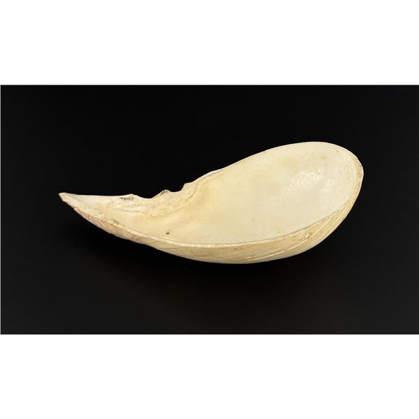 Yurok Native American Indian Shell Spoon