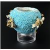 Image 4 : Zuni Indian Turquoise Fetish Pot