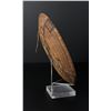 Image 4 : Apache Native American Indian Basket