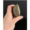 Image 4 : Ancient Native American Indian Stone Adze Celt