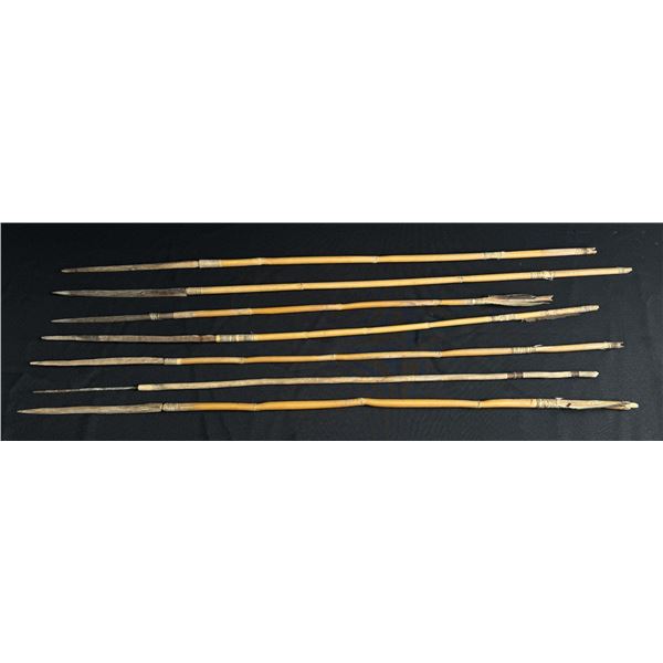 South Pacific Papua New Guinea Tribal Arrows