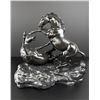 Image 1 : Henry Van Wolf Fighting Stallions Bronze