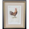 Image 1 : Sandy Scott Rooster Etching