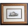 Image 1 : Audubon Trumpeter Swan 1st Octavo Lithograph
