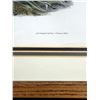 Image 2 : Audubon Trumpeter Swan 1st Octavo Lithograph