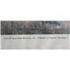 Image 3 : Montana Great Falls Brewery Buffalo Print