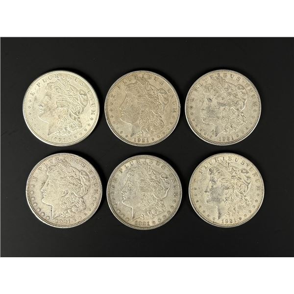 Collection of 1921 Morgan Silver Dollars