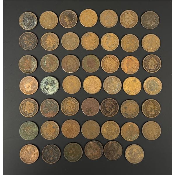 Collection of 48 Indian Head Pennies