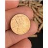 Image 2 : Approximately $155 Face Value Rolled Pennies