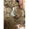 Image 3 : Dino Ricco Rabbit Fur Coat