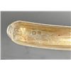 Image 3 : 1927 Sterling Match Safe Vesta Case