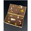Image 1 : Marathon Bait Company Bait Lure Book Box