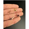 Image 3 : Montana Fly Fishing Flies with Case