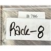 Image 5 : SOG Specialty Government Seki Blued Knife