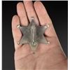 Image 2 : Tehama County California Deputy Sheriff Badge