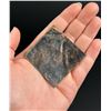 Image 2 : Charleston South Carolina Drayman Slave Tag Badge