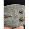 Image 3 : Civil War Confederate Belt Buckle