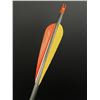 Image 10 : Gold Tip XT Hunter Graphite Archery Arrows