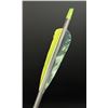Image 11 : Gold Tip XT Hunter Graphite Archery Arrows