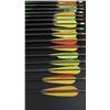 Image 4 : Gold Tip XT Hunter Graphite Archery Arrows