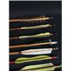 Image 10 : Collection of Archery Arrows
