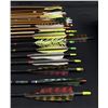 Image 4 : Collection of Archery Arrows