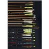 Image 5 : Collection of Archery Arrows