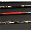 Image 7 : Collection of Archery Arrows