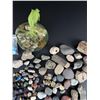 Image 4 : Collection of Rocks and Minerals