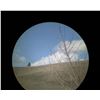 Image 6 : Leica Trinovid 8x20 BCA Binoculars