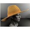 Image 2 : Stetson Buffalo Collection Cowboy Hat