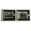 Image 1 : Modeler Ned J Burns Museum Magic Lantern Slides