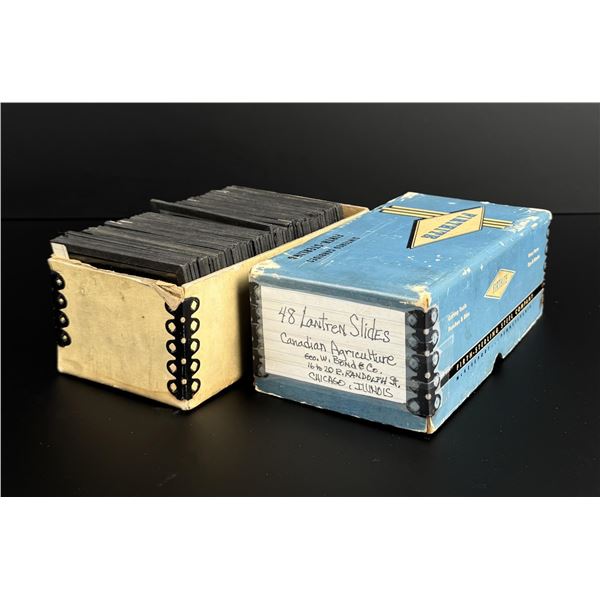Group of Canadian Agriculture Magic Lantern Slides