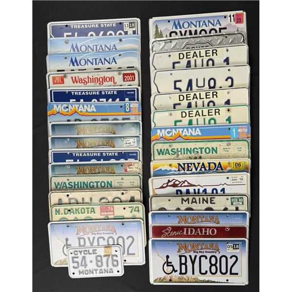 Collection of License Plates
