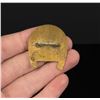 Image 2 : Buffalo Bill Plainsman Horseshoe Pin