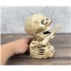 Image 4 : Cast Iron Skeleton Mechanical Bank