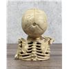Image 6 : Cast Iron Skeleton Mechanical Bank