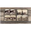 Image 7 : India Through The Stereoscope Stereoview Set