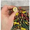 Image 4 : Group of Assorted Shotgun Shells
